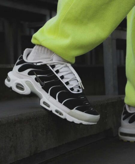 Buy First Copy Nike Airmax Plus TN Killer Whale Shoes Online India