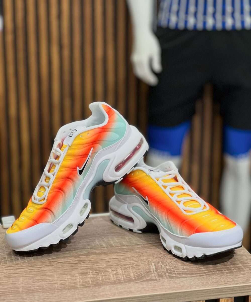Buy First Copy Nike Airmax Plus TN Multi 2024 Shoes Online India